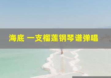 海底 一支榴莲钢琴谱弹唱